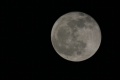 moon14.jpg